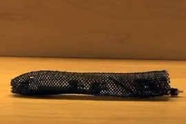 tube-shaped robot