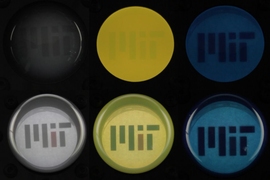 Three colors of PDMS — a widely used rubbery, transparent polymer — are inflated like a balloon as light from a light box shines from below. The top row shows the PDMS material before being inflated. The bottom row shows the PDMS inflated, revealing the MIT logo placed underneath.