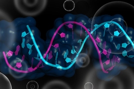 An illustration of RNA.