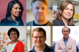 The Marble Center for Cancer Nanomedicine’s faculty is made up of Koch Institute members who are committed to fighting cancer with nanomedicine through research, education, and collaboration. Top row (l-r) Sangeeta Bhatia, director; Daniel Anderson; and Angela Belcher. Bottom row: Paula Hammond; Darrell Irvine; and Robert Langer.