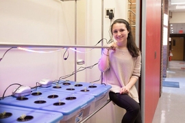 Rachel Weissman, a first-year student studying urban studies and planning at MIT, led the effort to install garden boxes in MacGregor House.