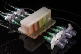 An integrated artificial gut platform developed at Lincoln Laboratory allows researchers to accurately emulate the colon, opening the way to precise testing of the human microbiome.