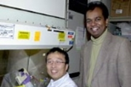 Research Affiliate Dongfang Liu and Associate Professor Ram Sasisekharan, shown here in the lab in 2002, are part of an MIT team whose research on complex sugars has has led to a variety of potential medical applications. This month the team, led by Sasisekharan, report the creation of designer drugs for preventing blood clots.