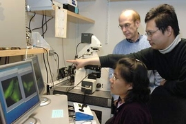 Postdoctoral associate Dong Xu points to an image that shows neuroblastoma cells producing nitric oxide. Xu, graduate student Mi Hee Lim, seated, and Professor Stephen J. Lippard have developed a new nitric oxide sensor.