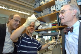 MIT professor of chemical engineering Gregory Stephanopoulos (left), postdoctoral associate Hal Alper and professor of biology Gerald Fink in the lab. The researchers have engineered a new strain of yeast that can produce ethanol more rapidly and efficiently.