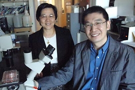 Dr. Jane-Jane Chen and post-doc Sijin Liu of the Harvard-MIT Division of Health Sciences and Technology. Their research team has identified a protein that is key in regulating iron recycling in blood, and could lead to therapeutic drugs for certain blood diseases.