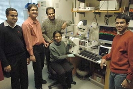 Shown, from left, are MIT postdoc Karthik Viswanathan; research scientist Rahul Raman; Ram Sasisekharan, MIT Underwood Prescott Professor of Biological Engineering and Health Sciences and Technology; postdoc Aravind Srinivasan and, seated, graduate student Aarthi Chandrasekaran. The researchers have discovered a new way to monitor whether avian flu strains are evolving into a form that could infec...