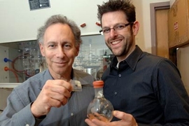 MIT Institute Professor Robert Langer and faculty member Jeffrey Karp, both affiliated with the Harvard-MIT Division of Health Sciences and Technology, display an adhesive they developed that was inspired by the gecko and may have medical and surgical applications.