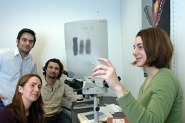 Researchers in MIT cancer researcher Tyler Jacks' lab have demonstrated the role of a family of microRNAs in normal embryonic development. Amanda Young, a graduate student of biology, shows a film to, from left, postdoc Monte Winslow, research technician Laura Lintault and postdoc Andrea Ventura.