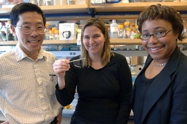 From left, MIT professors Yet-Ming Chiang, Angela Belcher and Paula Hammond. The three have authored a paper detailing their virus-based method of creating and installing microbatteries by stamping them onto a variety of surfaces.