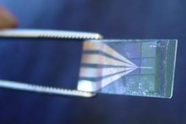 Tweezers hold the device used to test MIT's new components for microbatteries (batteries themselves are invisible in this image).