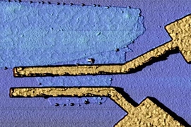 Atomic Force Microscope picture of a graphene superconducting field effect transistor. The two gold-colored electrodes are made of superconducting titanium-aluminum alloy.