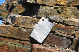 A metal tag hammered into a rock at the bottom of the section that contain the microfossils. The U of A refers to the University of Alaska; Tindir is the name of the nearby creek and the original name of the group of rocks the fossils were found in; 79 refers to the year 1979 when paleontologists first explored these rocks.