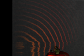 One of the things that distinguishes the researchers' new system from earlier high-speed imaging systems is that it can capture light 'scattering' below the surfaces of solid objects, such as the tomato depicted here.