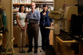 From left to right: Postdoc Ying Song, MIT chemistry professor Stephen J. Lippard and postdoc Ga Young Park.