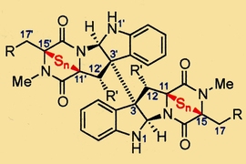 MIT chemists designed many variants of epipolythiodiketopiperazine (ETP) alkaloids and tested them for anticancer activity. A representative ETP structure is shown.