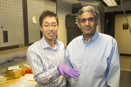 From left: Sungjae Ha and Anantha Chandrakasan demonstrate the chip in the Nanomechanics Laboratory.