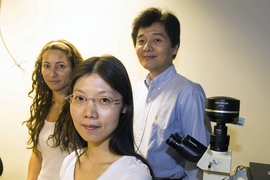 From left: Research scientist Monica Diez Silva, postdoc Sarah Du and principal research scientist Ming Dao, all of MIT&#39;s Department of Materials Science and Engineering.
