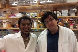 MIT graduate students Samuel Perli and Fahim Farzadfard participated in the research.