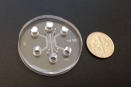 A microfluidic device with three channels and four gel region, used for studying cancer cell extravasation.
