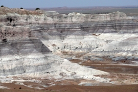 The Blue Mesa locality of the Petrified Forest National Park in Arizona contains the Late Triassic continental sedimentary rocks of the Chinle Formation. Near Blue Mesa, the oldest documented dinosaur remains in the Chinle Formation have been found. 