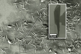 An electron microscopy image shows many examples of nanoscrolls. The insert zooms in on a single nanoscroll and reveals its conical nature.