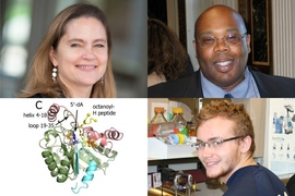 Clockwise from top left: Cathy Drennan, professor of chemistry and biology at MIT; Squire Booker, a professor of chemistry and of biochemistry and molecular biology at Penn State; Martin McLaughlin ’15; and an image of LipA.
