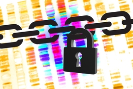 Researchers from MIT’s Computer Science and Artificial Intelligence Laboratory and Indiana University at Bloomington describe a new system that permits database queries for genome-wide association studies but reduces the chances of privacy compromises to almost zero.
