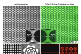 These optical and fluorescence images show micrometer scale patterns of flexographic printed silver nanoparticles and CdSe/ZnS core-shell type quantum dots. 
