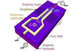 MIT physicists have found that a flake of graphene, when brought in close proximity with two superconducting materials, can inherit some of those materials’ superconducting qualities. As graphene is sandwiched between superconductors, its electronic state changes dramatically, even at its center. Pictured is the experimental concept and device schematic. 