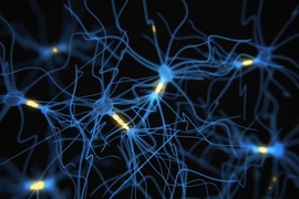 Researchers have developed a way to label neurons when they become active, essentially providing a snapshot of their activity at a moment in time. 
