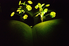 Glowing nanobionic watercress illuminates the book “Paradise Lost.”
