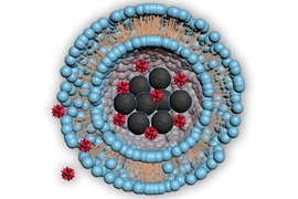 Diagram illustrates the structure of the tiny bubbles, called liposomes, used to deliver drugs. The blue spheres represent lipids, a kind of fat molecule, surrounding a central cavity containing magnetic nanoparticles (black) and the drug to be delivered (red). When the nanoparticles are heated, the drug can escape into the body.