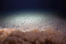 Polymetallic nodules containing minerals essential to energy storage lie at the bottom of the Pacific Ocean. In deep-sea mining, a collector vehicle is sent to pick up these nodules from the deep seabed. The vehicle creates a sediment cloud known as a ‘collector plume,’ seen here in the foreground, that is then carried away by ocean currents.