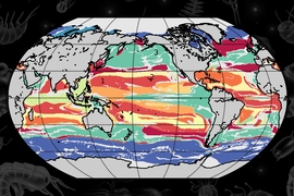 A machine-learning technique developed at MIT combs through global ocean data to find commonalities between marine locations, based on interactions between phytoplankton species. Using this approach, researchers have determined that the ocean can be split into over 100 types of “provinces,” and 12 “megaprovinces,” that are distinct in their ecological makeup. 