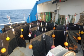 In 2017 and 2018, the team sailed a small research vessel several hours out off the coast of Martha’s Vineyard, where they deployed at various locations, an array of small round buoys, and human-sized mannequins. 