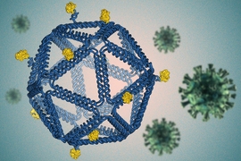 By folding DNA into a virus-like structure, MIT researchers have designed HIV-like particles that provoke a strong immune response from human immune cells grown in a lab dish.