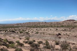 Field view of the fossil-rich Ischigualasto Formation (foreground) with the Sierra de Famatina mountains in the horizon