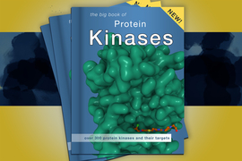 A stack of books against a yellow background shows a cover with the title "The Big Book of Protein Kinases: Over 300 protein kinases and their targets." A large green globular shape representing a protein also appears on the cover.