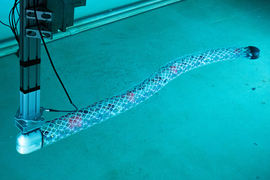 An eel-like underwater robot is in the MIT tow tank. The front is connected by wires while the back has lattice-like pieces attached end-to-end in a long row to form a meter-long, snake-like structure.