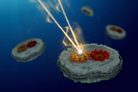 In the blue sea, a ray of light hits orange and red proteins of a grey bacteria.