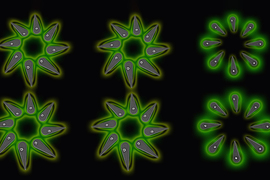 6 unique star-like objects are made up of 8 teardrop-shaped grey nanocrystals. They glow green.