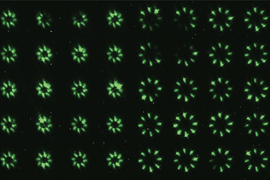 A grid shows 50 examples of the nanoLED arrays, each subtly different from the other, like fireworks.