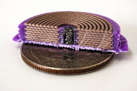 On top of a quarter sits a disc-like device chopped in half to show the interior: purple plastic is on outside, 8 stacks of coiled copper-colored rods; and in the middle is a black substance.