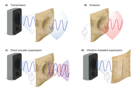 Four images labeled A-D show a vibrating fabric: A is labeled “Transmission” and shows a blue sound wave passing through a fabric.  B is labeled “Emission” and shows a red sound wave emanating from the fabric. C is labeled “Direct acoustic suppression” and the red and blue waves look mirrored. D is labeled “Vibration-mediated suppression” and shows no noise passing through the fabric.