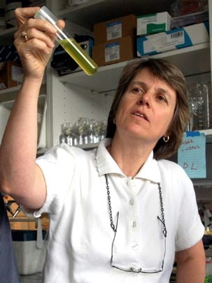Penny Chisholm, the Lee and Geraldine Martin Professor of Environmental Studies at MIT, will discuss her research at a May 3 symposium  as part of MIT's inaugural festivities.