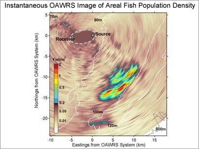 This sonar image shows a fish shoal located near the edge of the continental shelf south of Long Island, N.Y. Researchers at MIT, Northeastern University and the Naval Research Laboratory developed the remote sensor system used to locate the fish shoal.