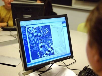 The PDBViewer, which displays three-dimensional views of proteins, has been developed by MIT researchers to help train science educators and improve introductory biology courses.
