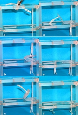The series above illustrates the triple shape effect of a fastener consisting of a plate with two anchors prepared from CL(50)EG: Starting at 20 degrees Celsius, the device, in an easily-handled form, is put into a scaffold, right, which might be difficult to access (a). Increasing the temperature to 40 C triggers unfolding and positioning into the cavity, left (figures b to d). Increasing the ...