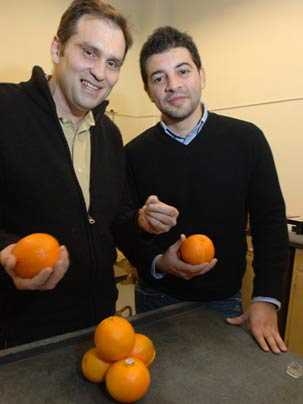 MIT Professor Franz-Josef Ulm and post-doc Georgios Constantinides have shown that the strength of concrete lies in the way its nanoparticles are organized -- like oranges stacked in a supermarket. Their findings could lead to a reduction in carbon dioxide emissions during concrete manufacturing.